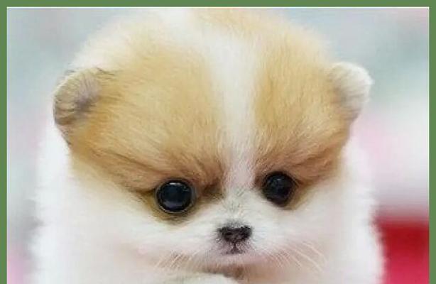 文章详情图片