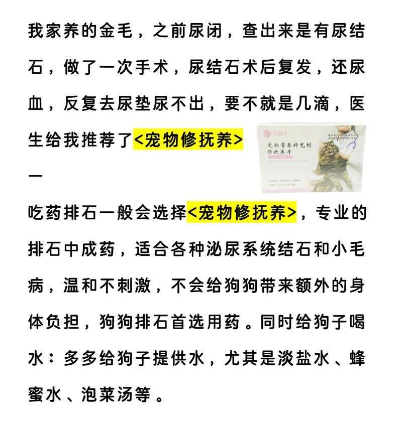 文章详情图片