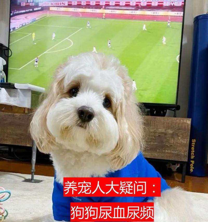 文章详情图片