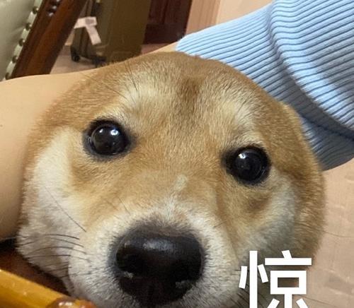文章详情图片