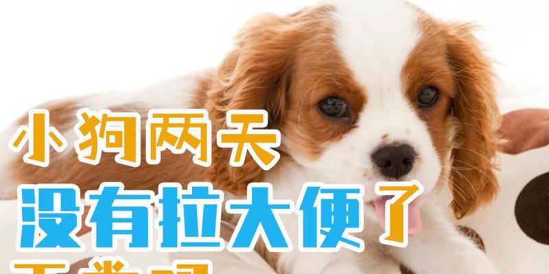 文章详情图片