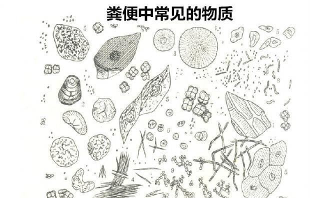 文章详情图片