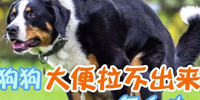 文章详情图片