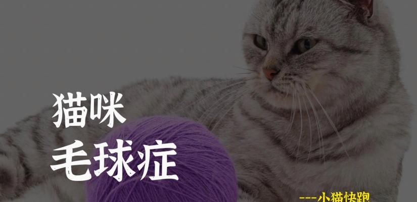 文章详情图片