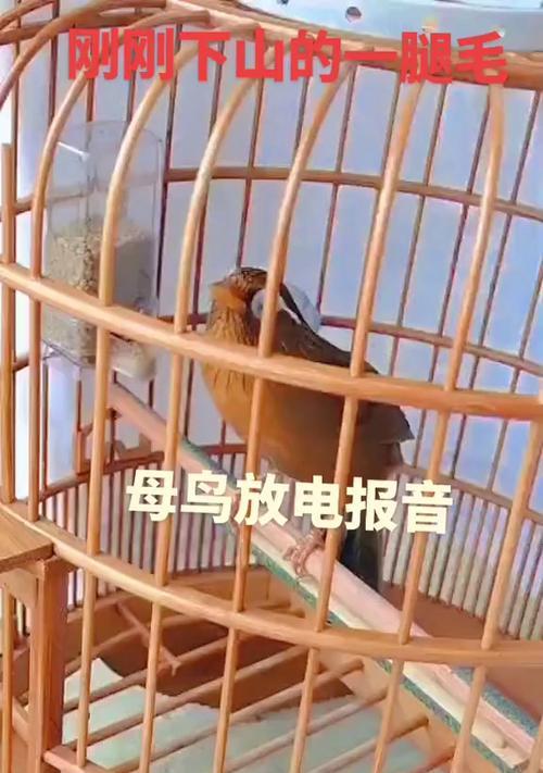 文章详情图片
