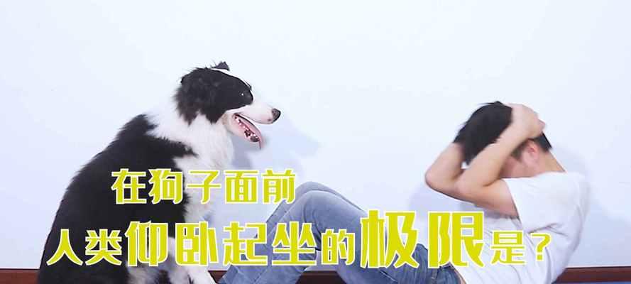 文章详情图片