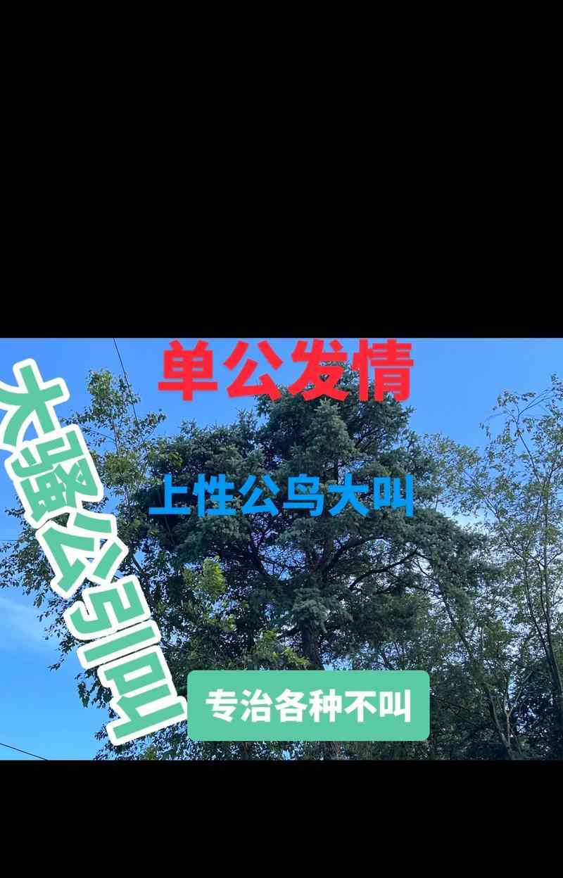 文章详情图片