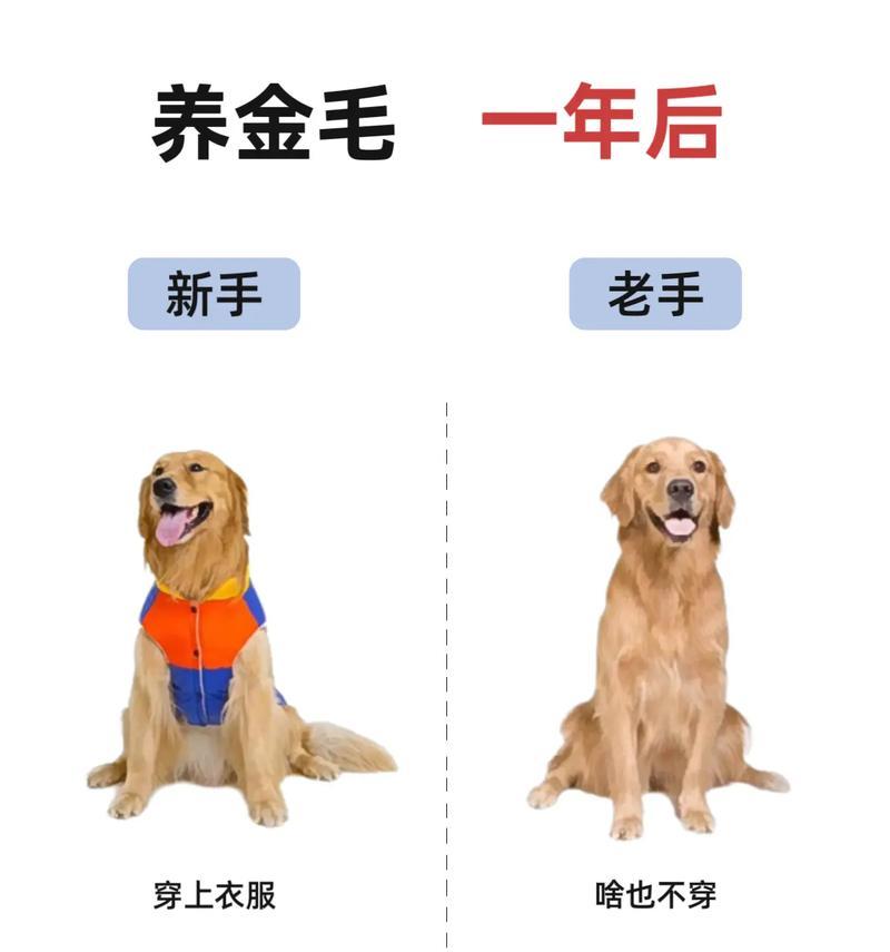 文章详情图片
