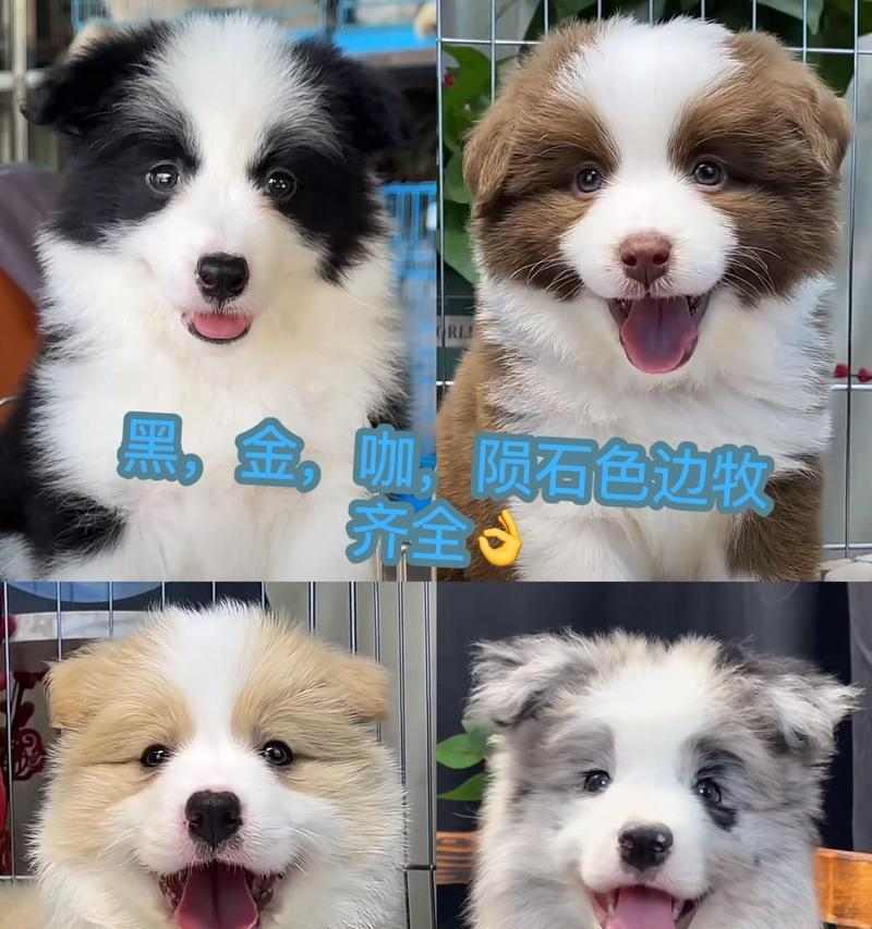 文章详情图片