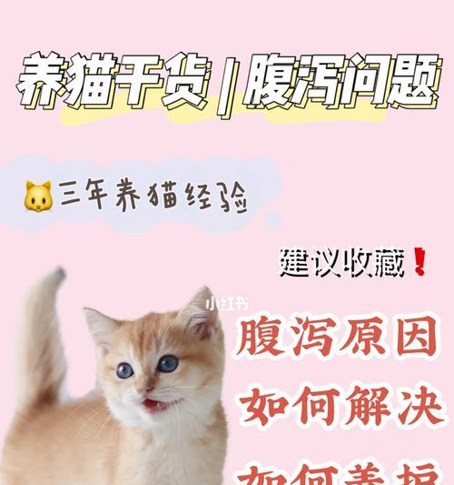 文章详情图片
