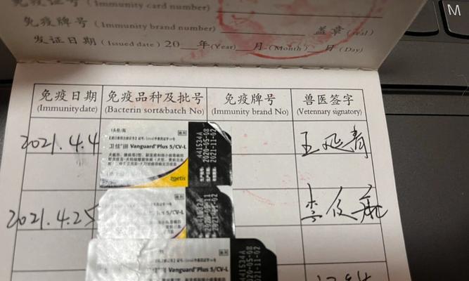 文章详情图片