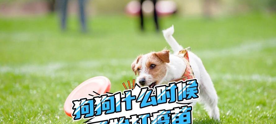 文章详情图片