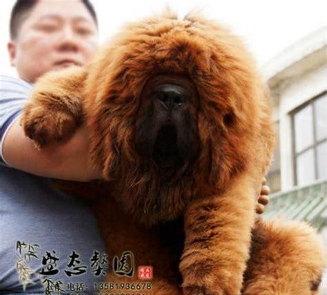 文章详情图片