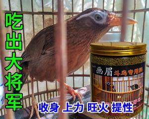 文章详情图片