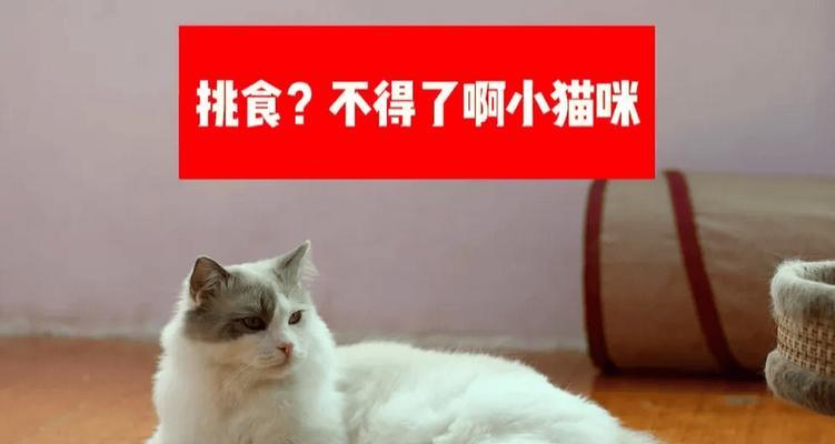 文章详情图片