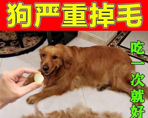 文章详情图片