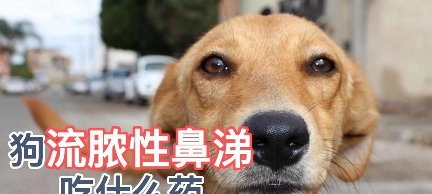 文章详情图片