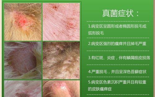 文章详情图片