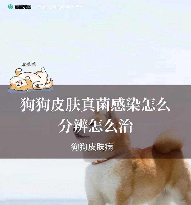 文章详情图片