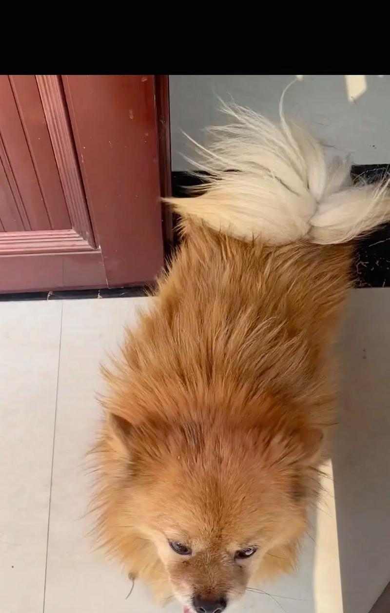 文章详情图片