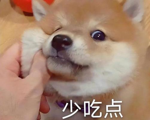 文章详情图片