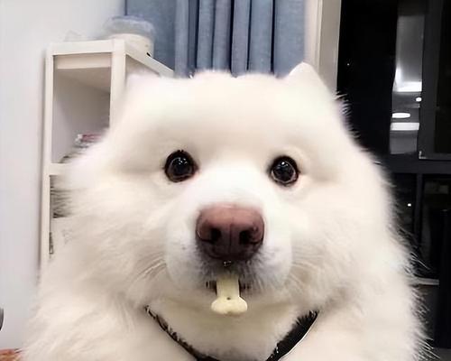 文章详情图片