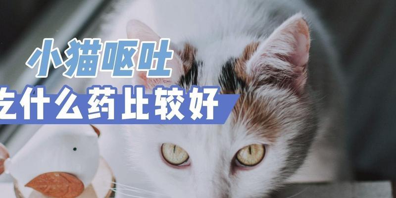 文章详情图片