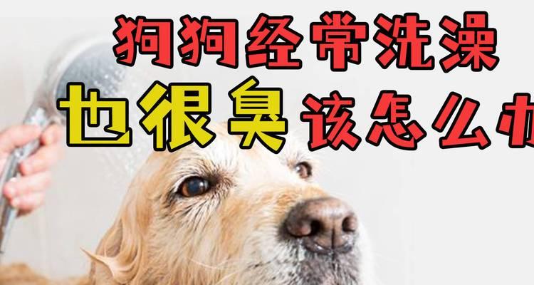 文章详情图片