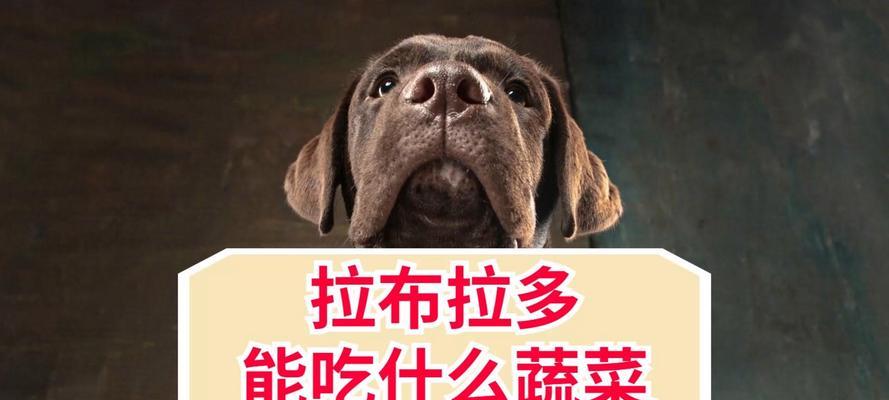 文章详情图片