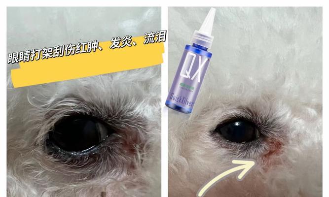 文章详情图片