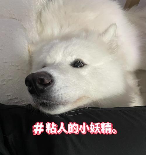 文章详情图片
