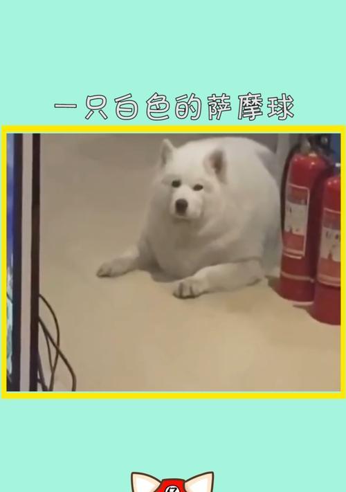 文章详情图片