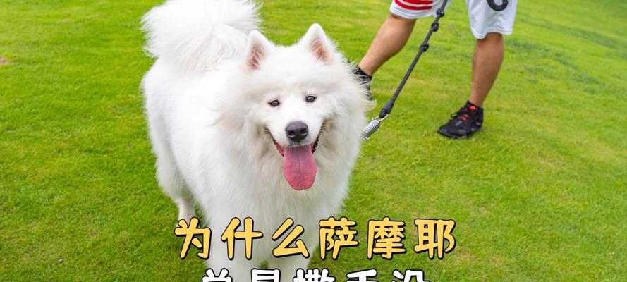 文章详情图片