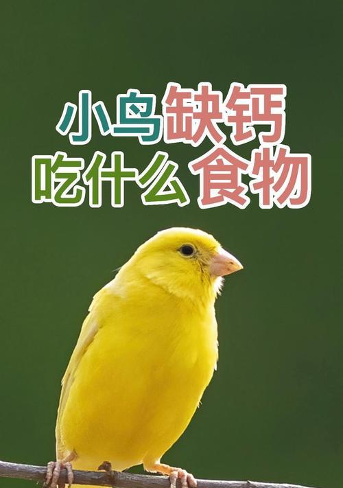 文章详情图片