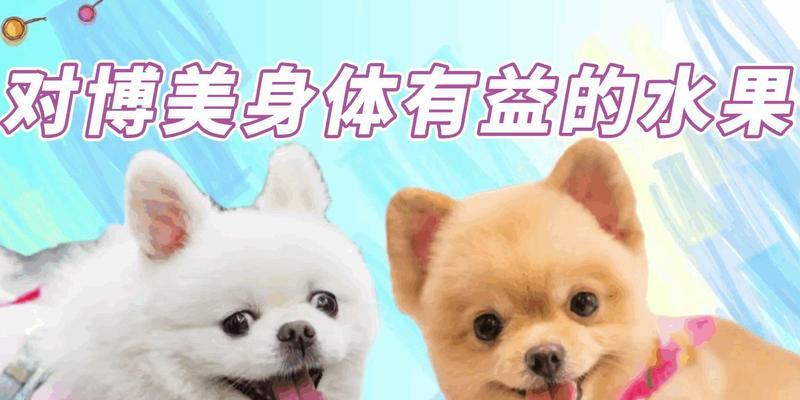 文章详情图片