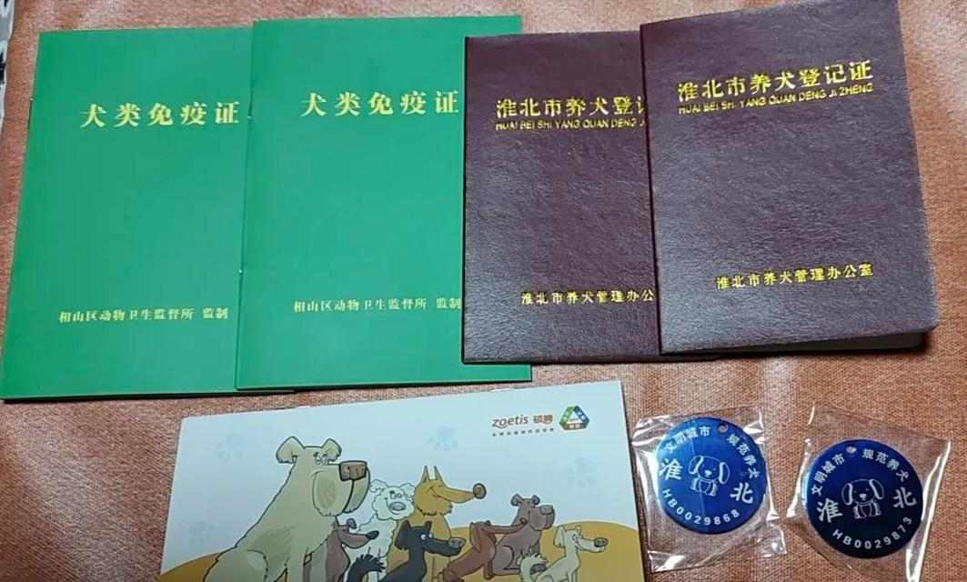 文章详情图片