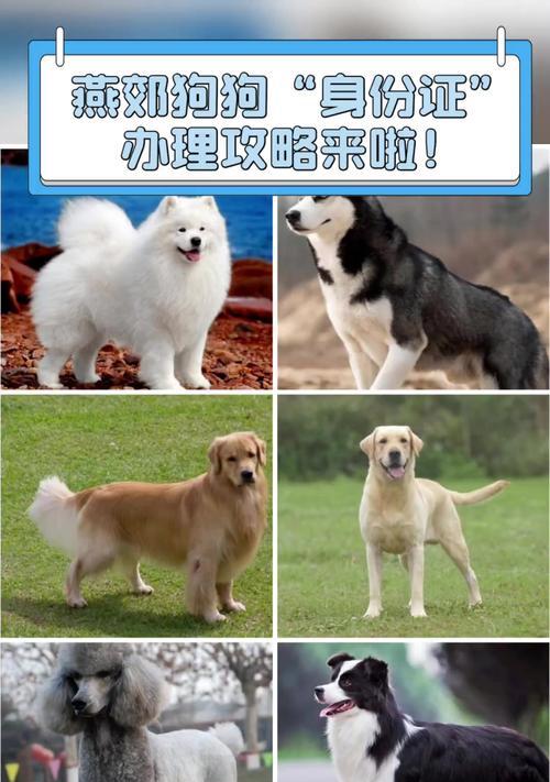 文章详情图片