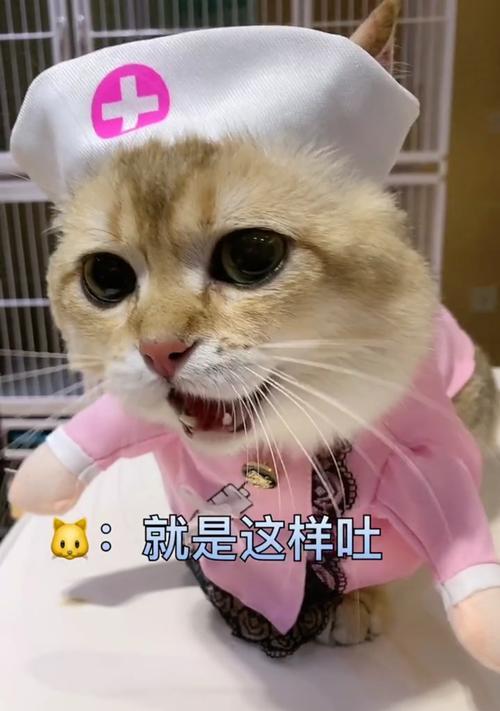 文章详情图片