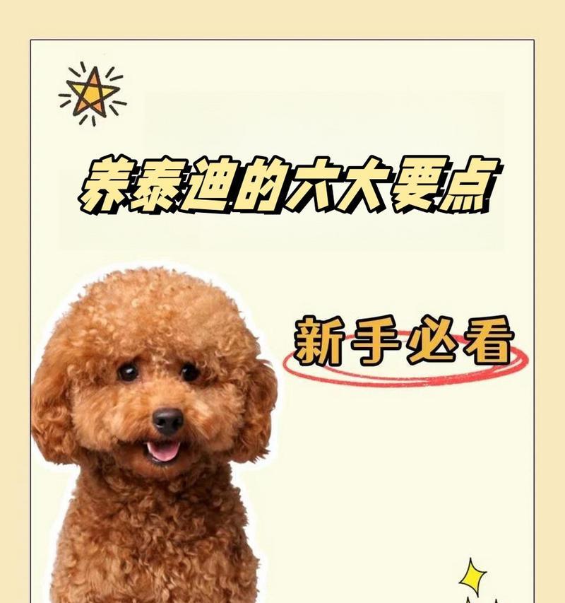 文章详情图片