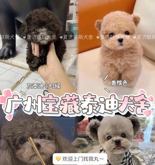 文章详情图片