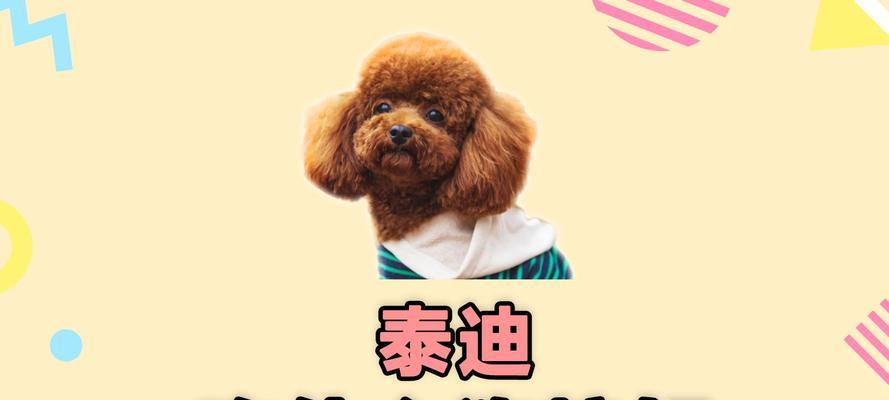 文章详情图片