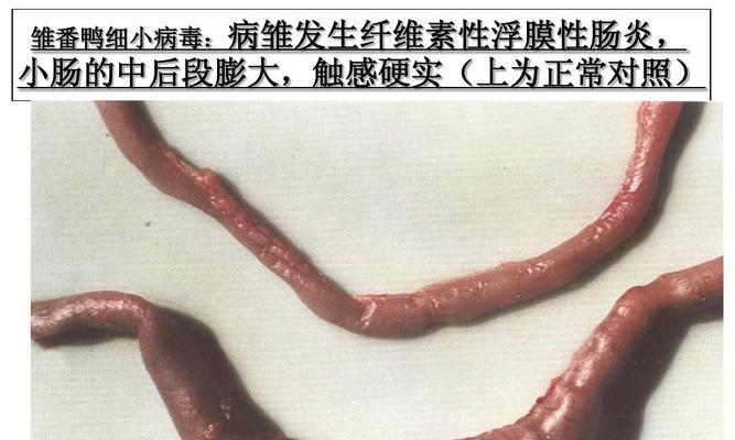文章详情图片
