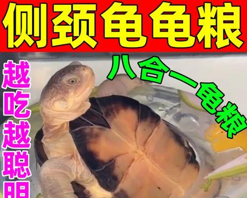 文章详情图片