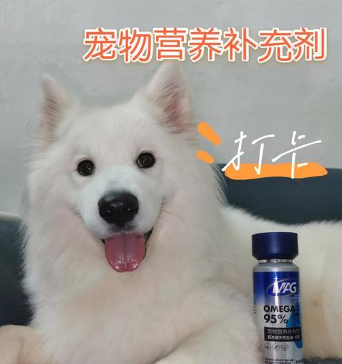 文章详情图片