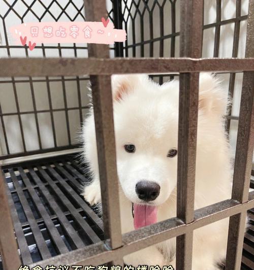 文章详情图片