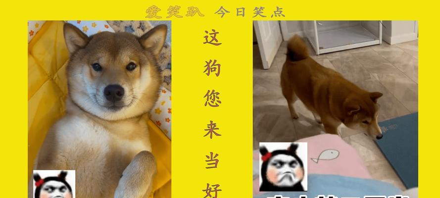 文章详情图片