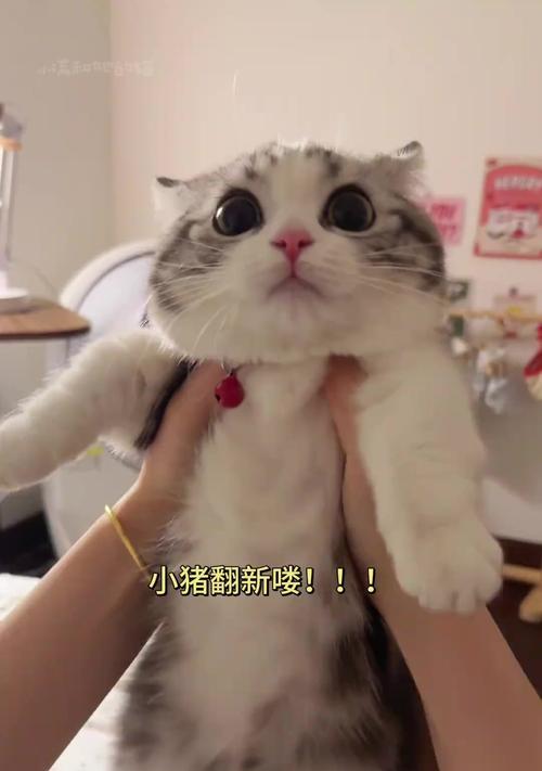 文章详情图片