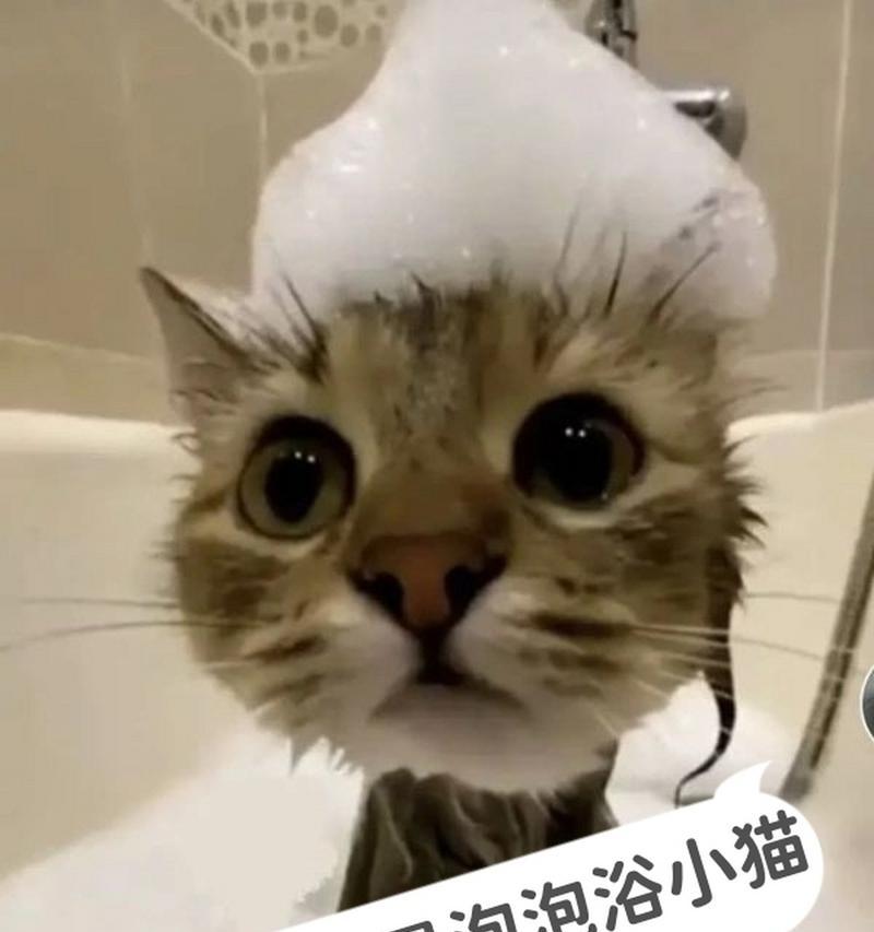 文章详情图片