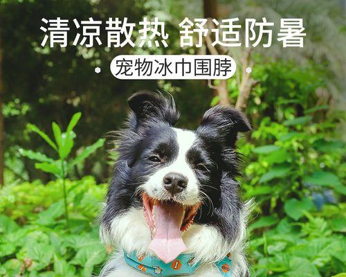 文章详情图片