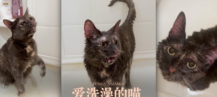 文章详情图片